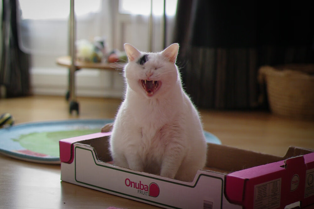 绝地反击,德国队逆转法国队,马琳高光时刻铸就传奇