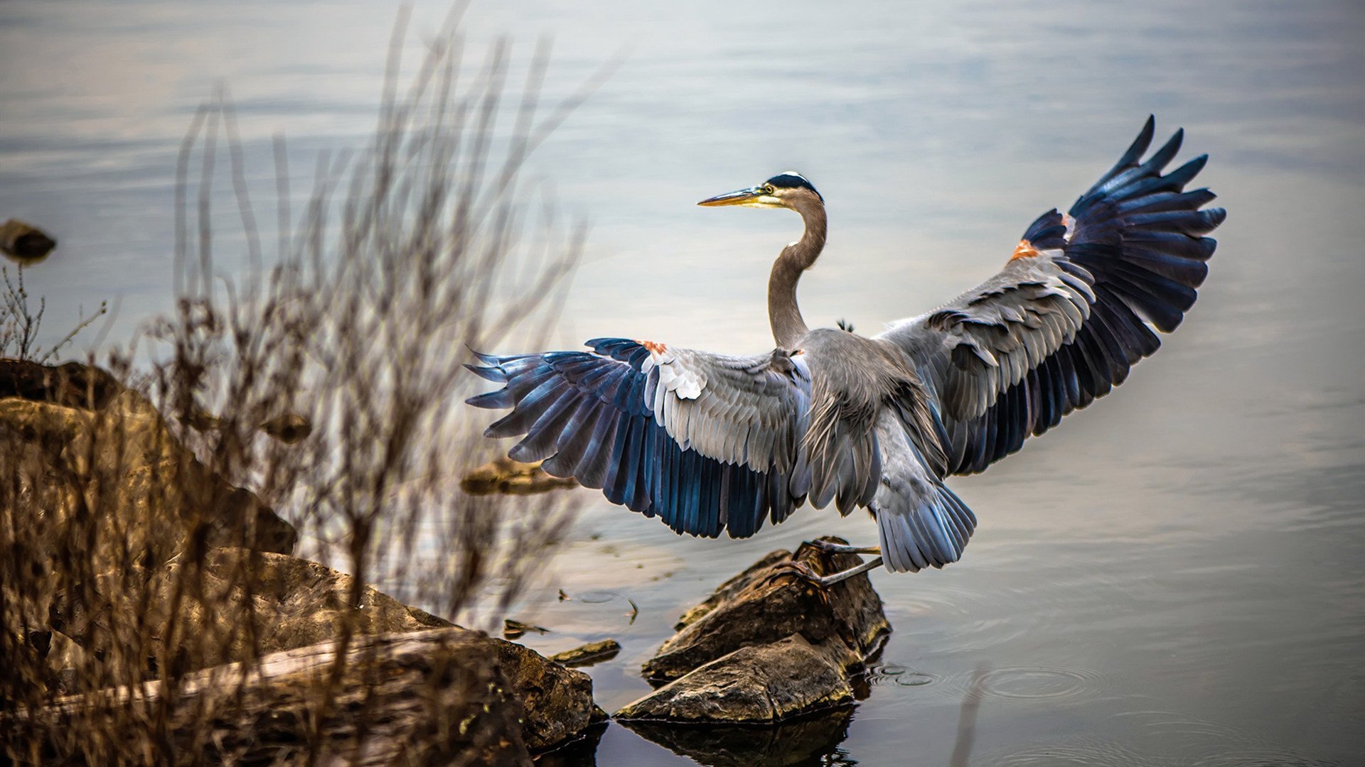 樱花武士与白鹰铁骑，那夜，梁靖崑雷霆万钧破纪录