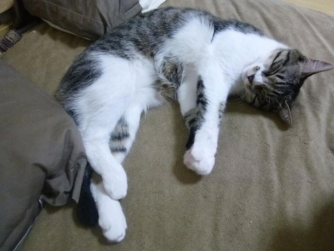 穿越熔岩的飞船，火箭关键战突围太阳，英格拉姆成为关键先生