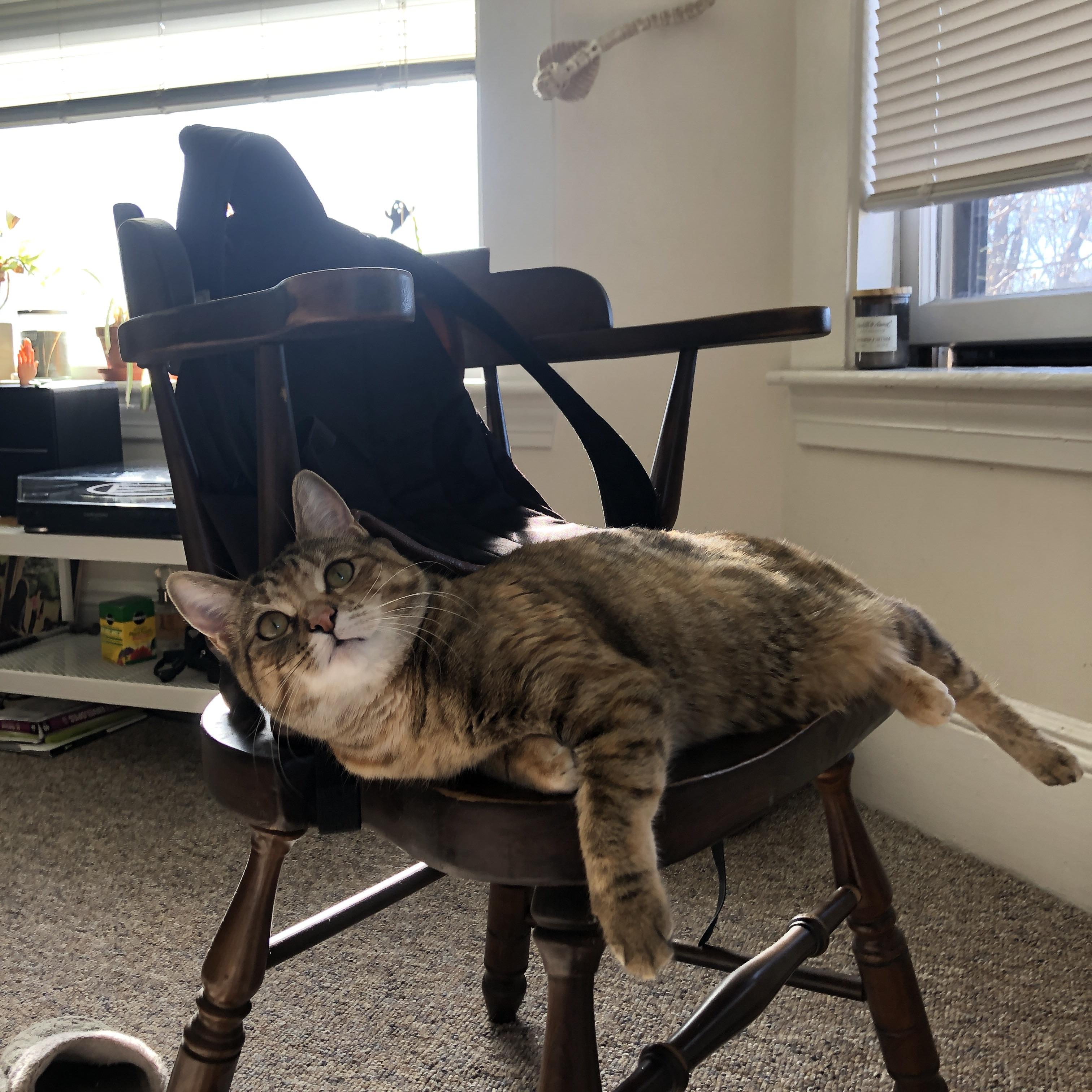 哈登进攻端无人可挡，森林狼淘汰赛轻取北京队