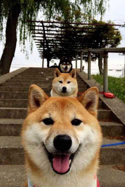 当英超遇上金字塔,一场虚构的绿茵对话