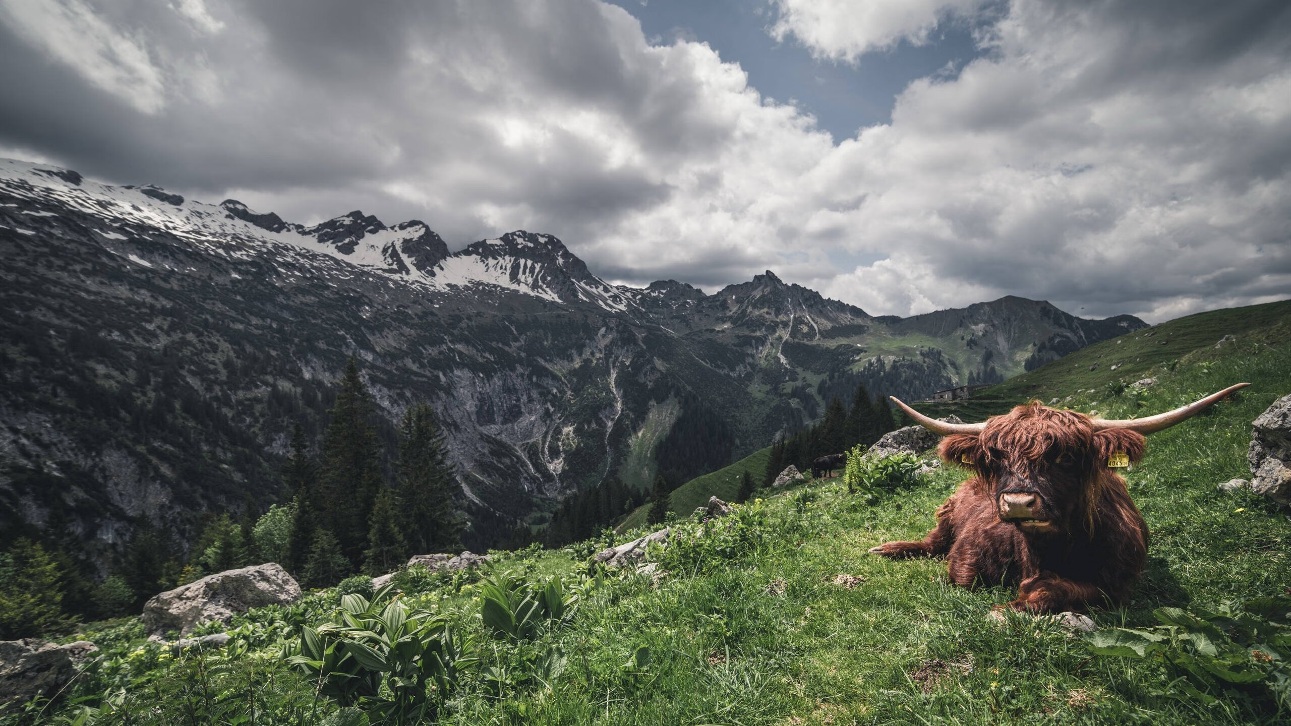 欧陆烽火,谁主沉浮?世界排名生死夜,东契奇以脊梁扛起山河