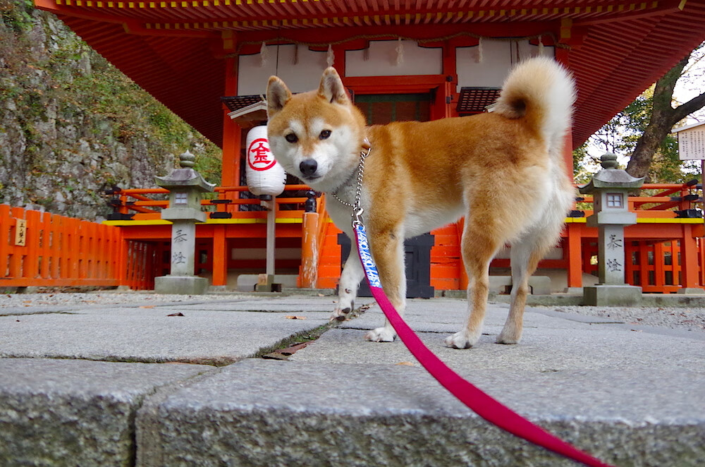 一夜间，宿敌的两种解法