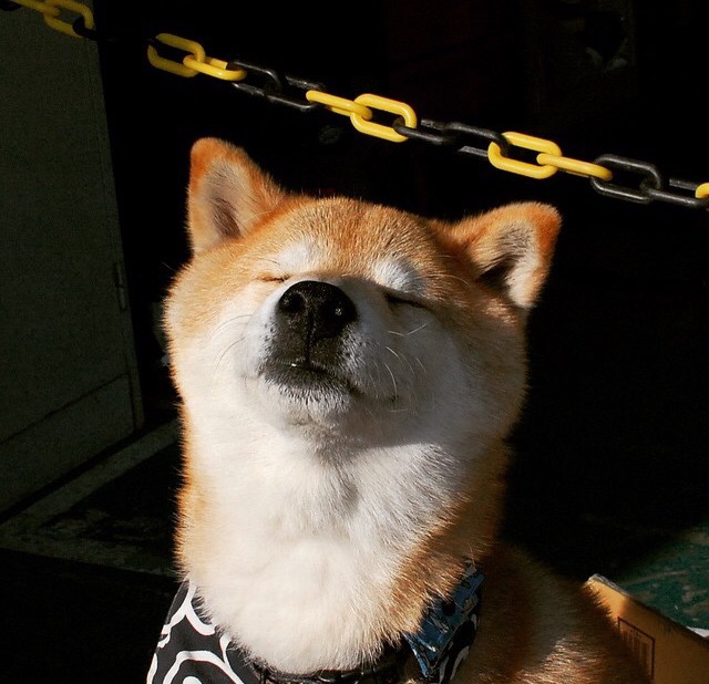 高原呼吸与钢铁意志,莱比锡的拉巴斯一夜