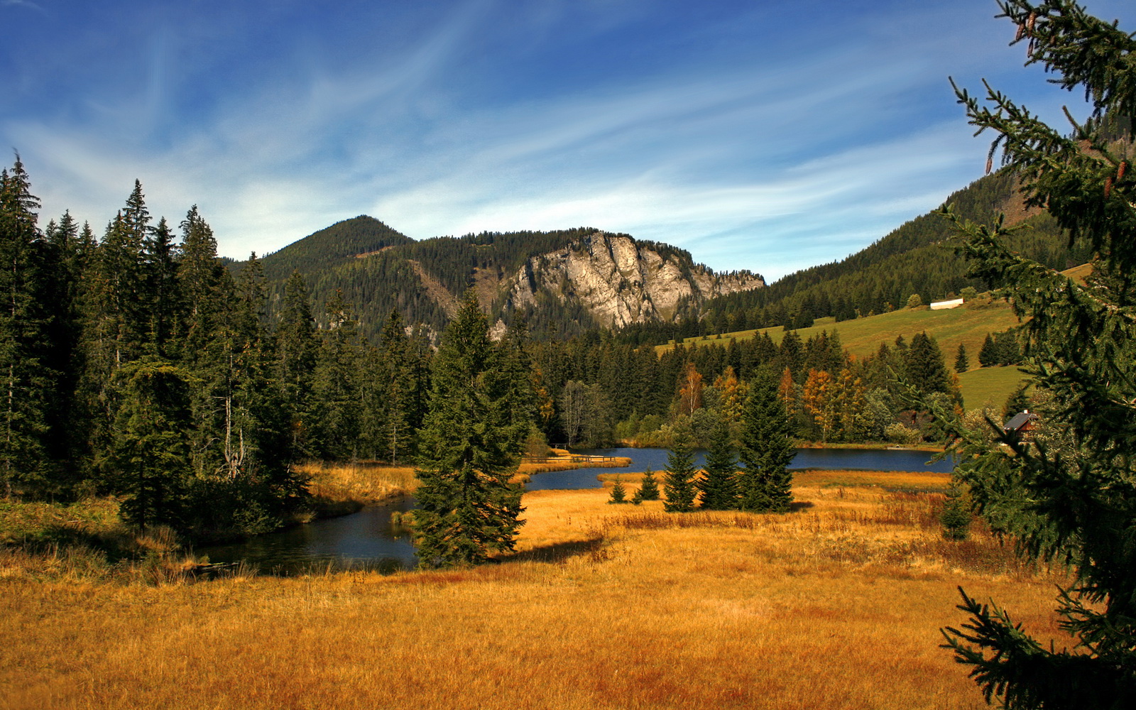 东西方对话,上海队爆冷击碎篮网神话,英格拉姆奥运周期关键战上演冷血接管