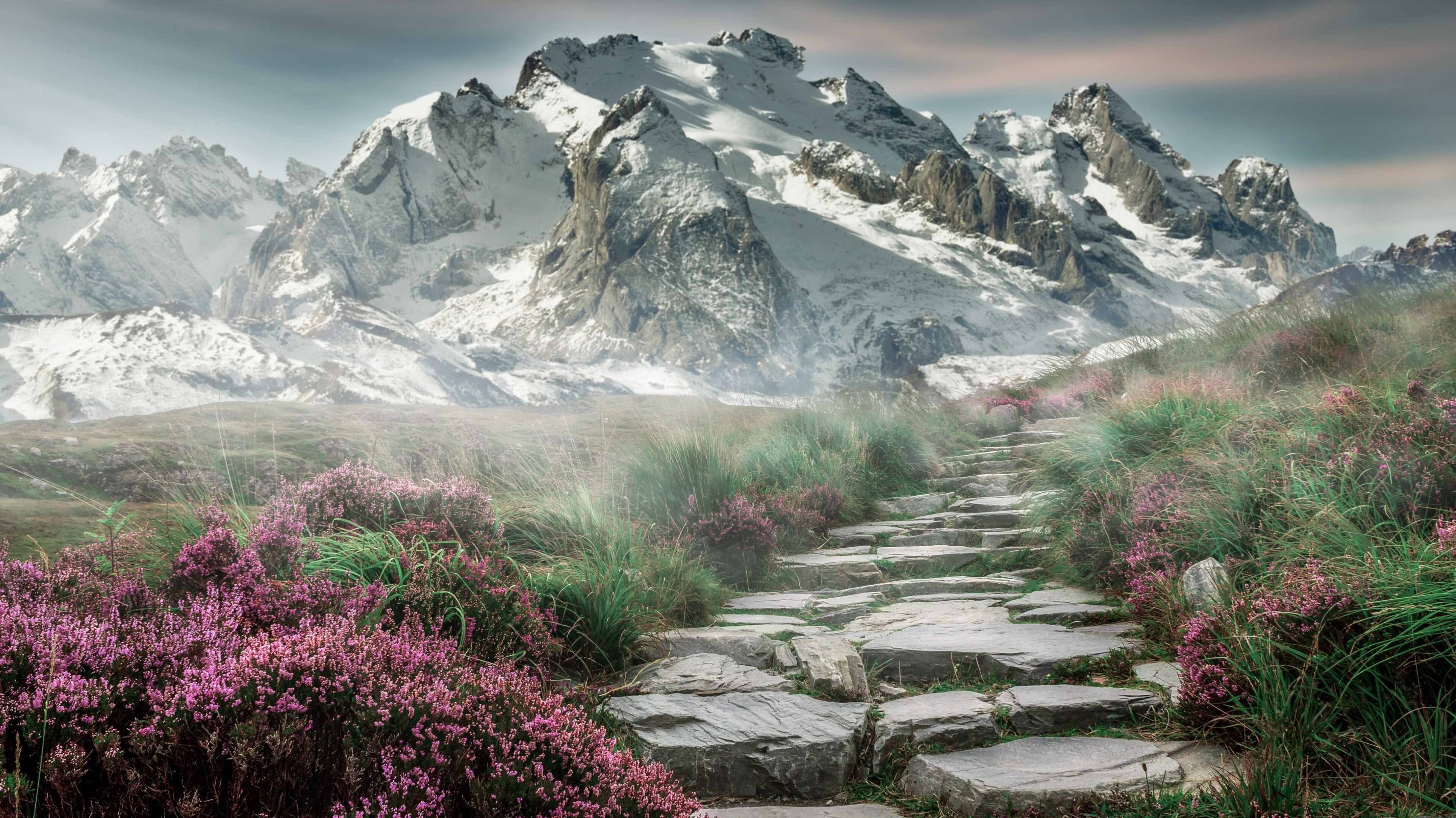 独舞还是合奏，贝恩如何以一己之力主宰骑士对阵山西之战