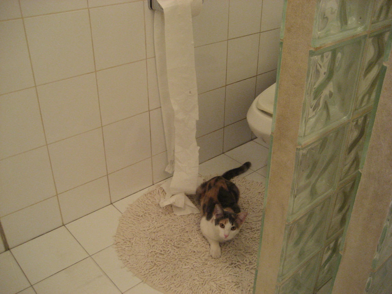 末节冰锋,黄色奇迹与马丁内利时刻