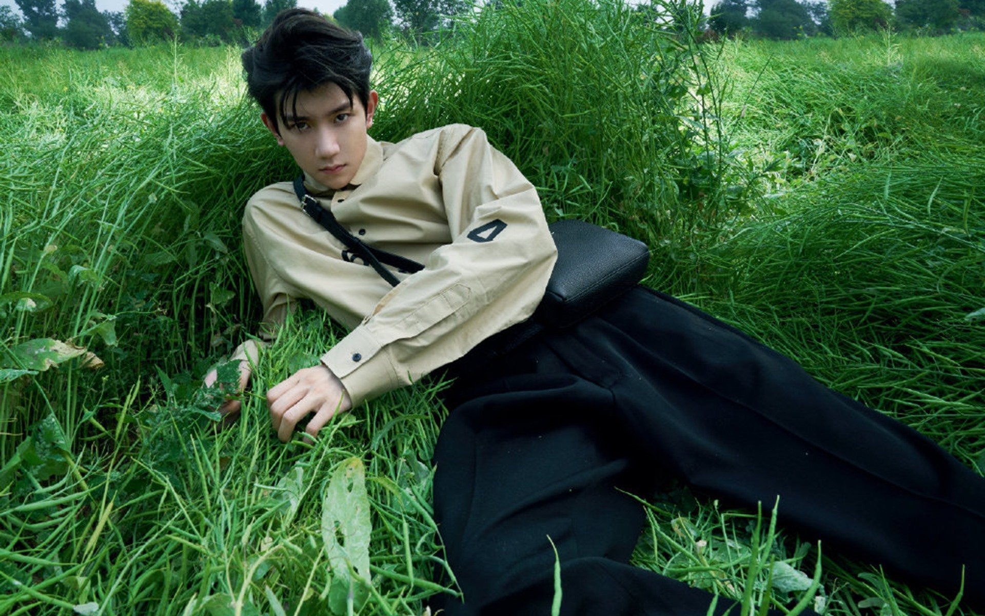 雷霆之火，一场横扫背后的进化论