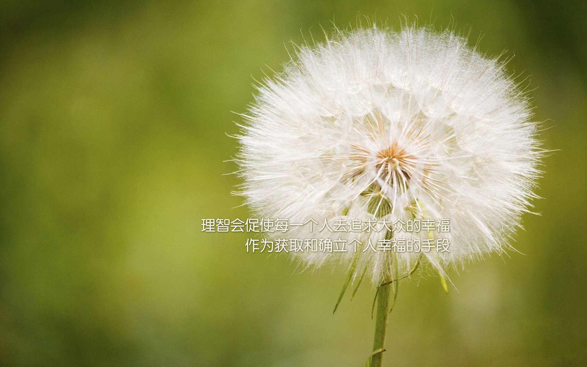 瞬间即永恒，2026世界杯C组，日本险胜德国，奥斯梅恩完成致命一击