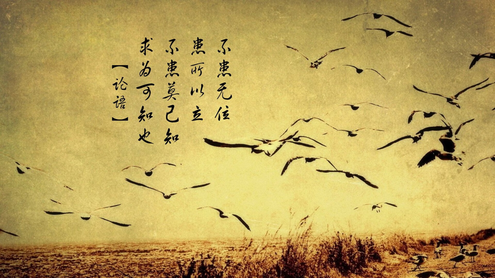 独步绝杀夜，2026世界杯出线战，哥伦比亚九死一生险胜韩国，C罗临场神调度写就传奇唯一篇章