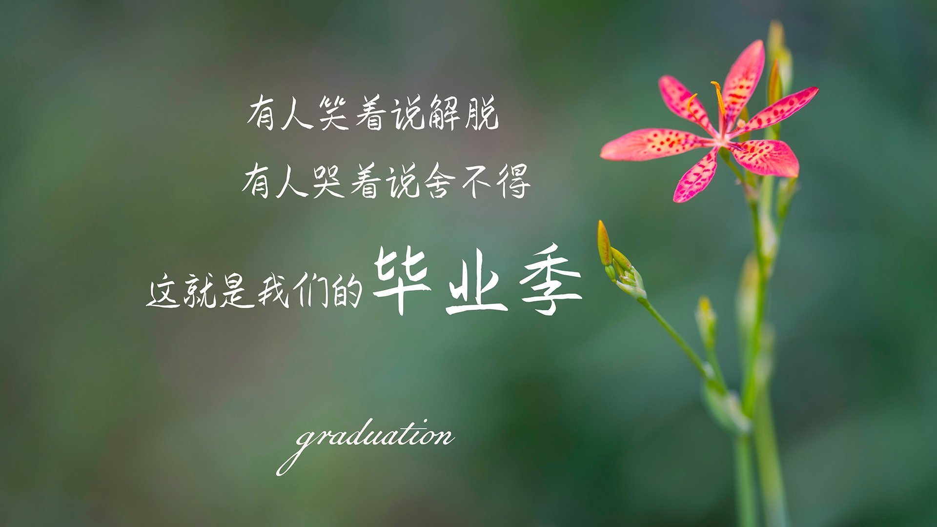 冷与热的宿命交织，2026世界杯E组关键战，泰国完胜加纳背后的唯一性密码