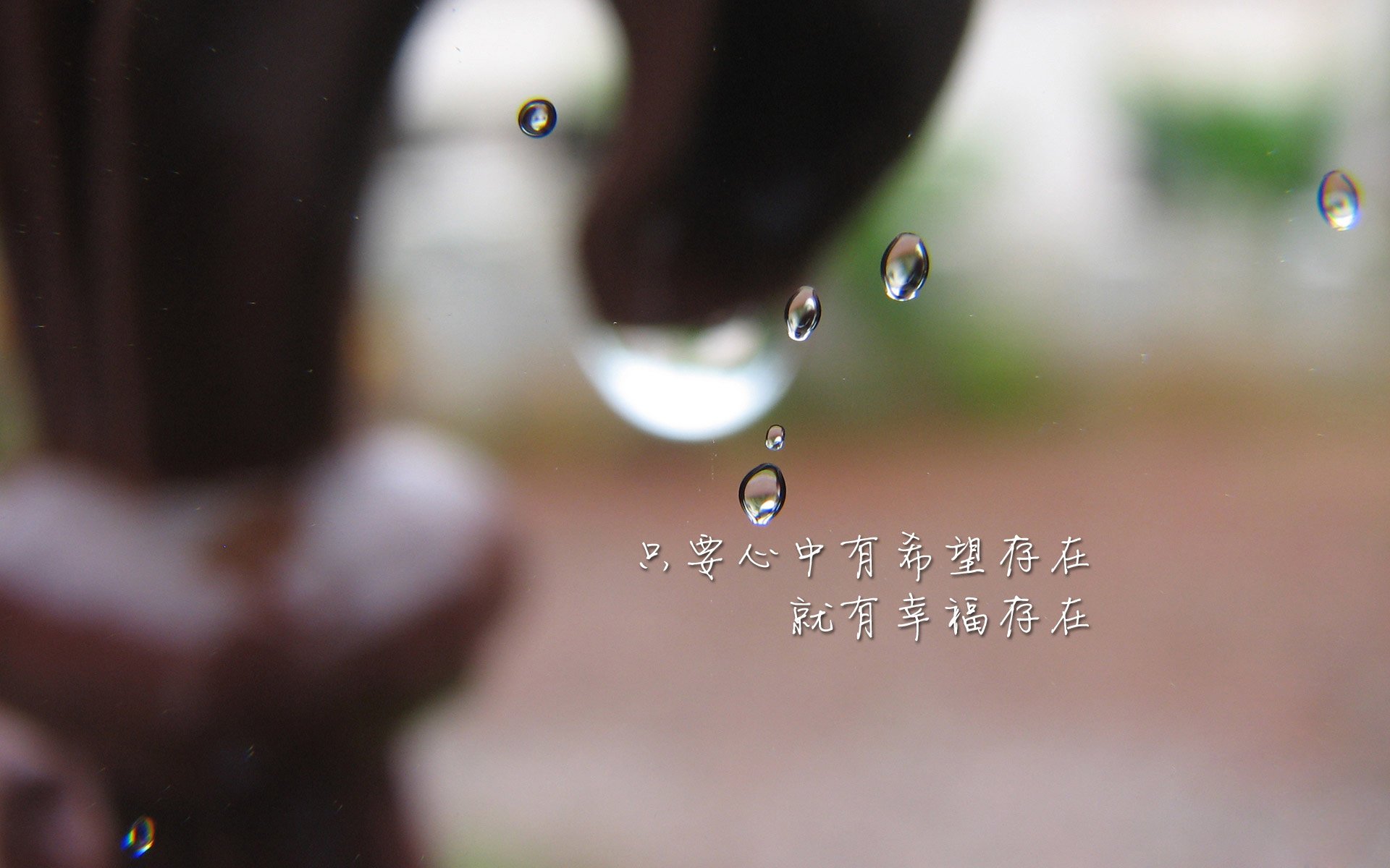 铁壁与灵刃,2026世界杯C组,喀麦隆的钢铁防线与维尼修斯的致命一击