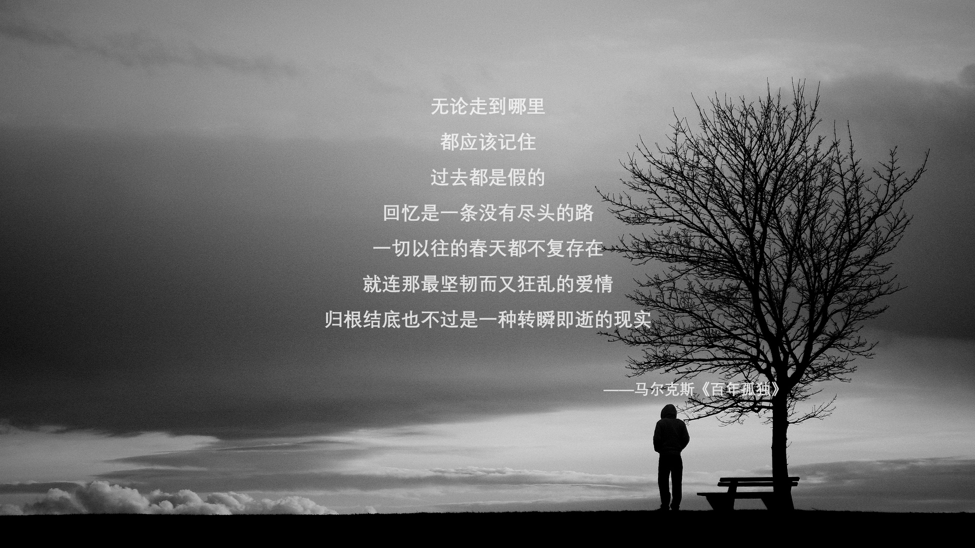 沙漠风暴掩盖桑巴舞,2026世界杯H组,伊朗如何用钢铁防线与梅西的指尖魔法,让五星巴西陷入窒息