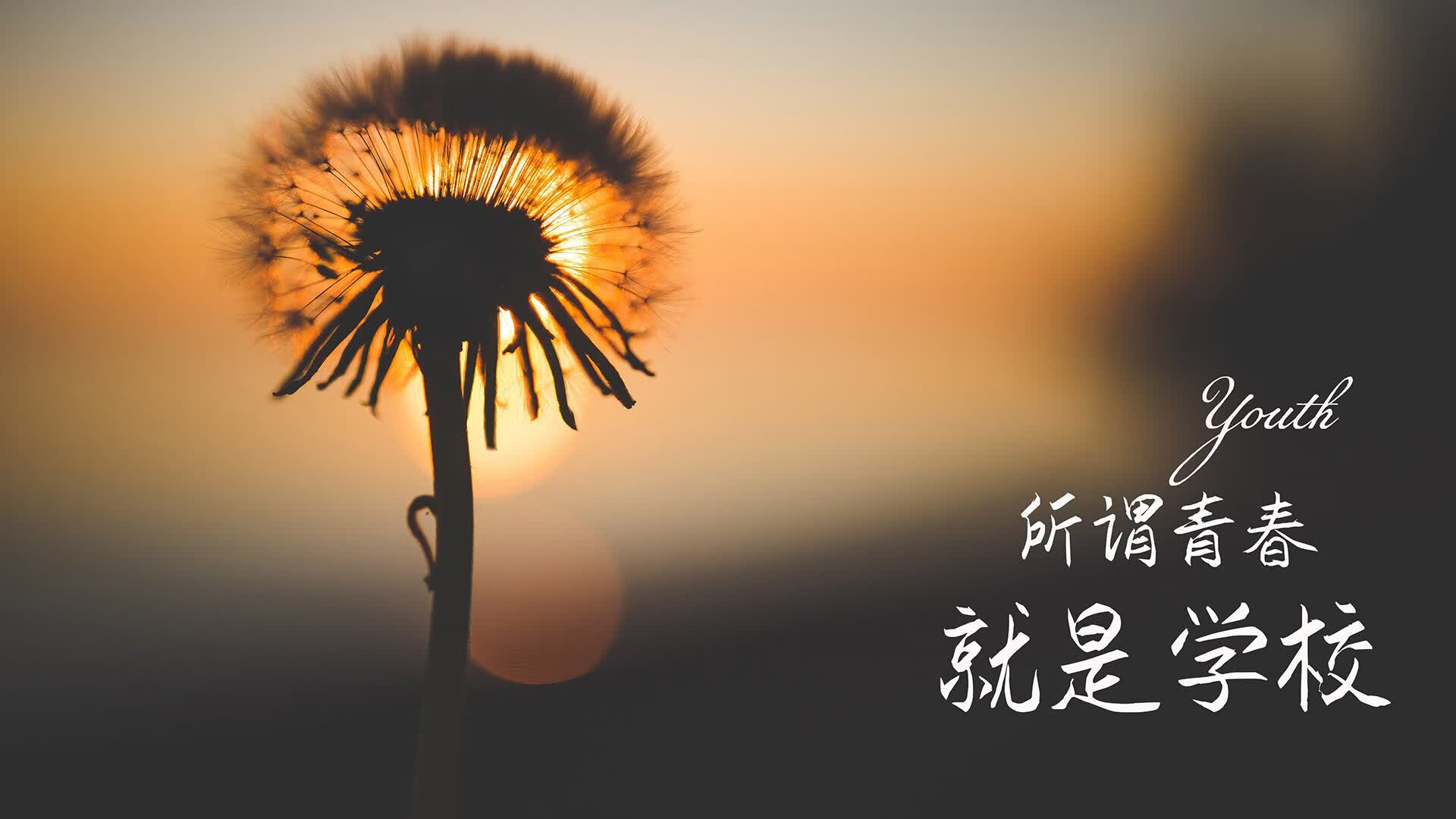 爱游戏大厅-宿命的回响，2026世界杯A组，罗马尼亚逆转哥伦比亚，内马尔完成致命一击