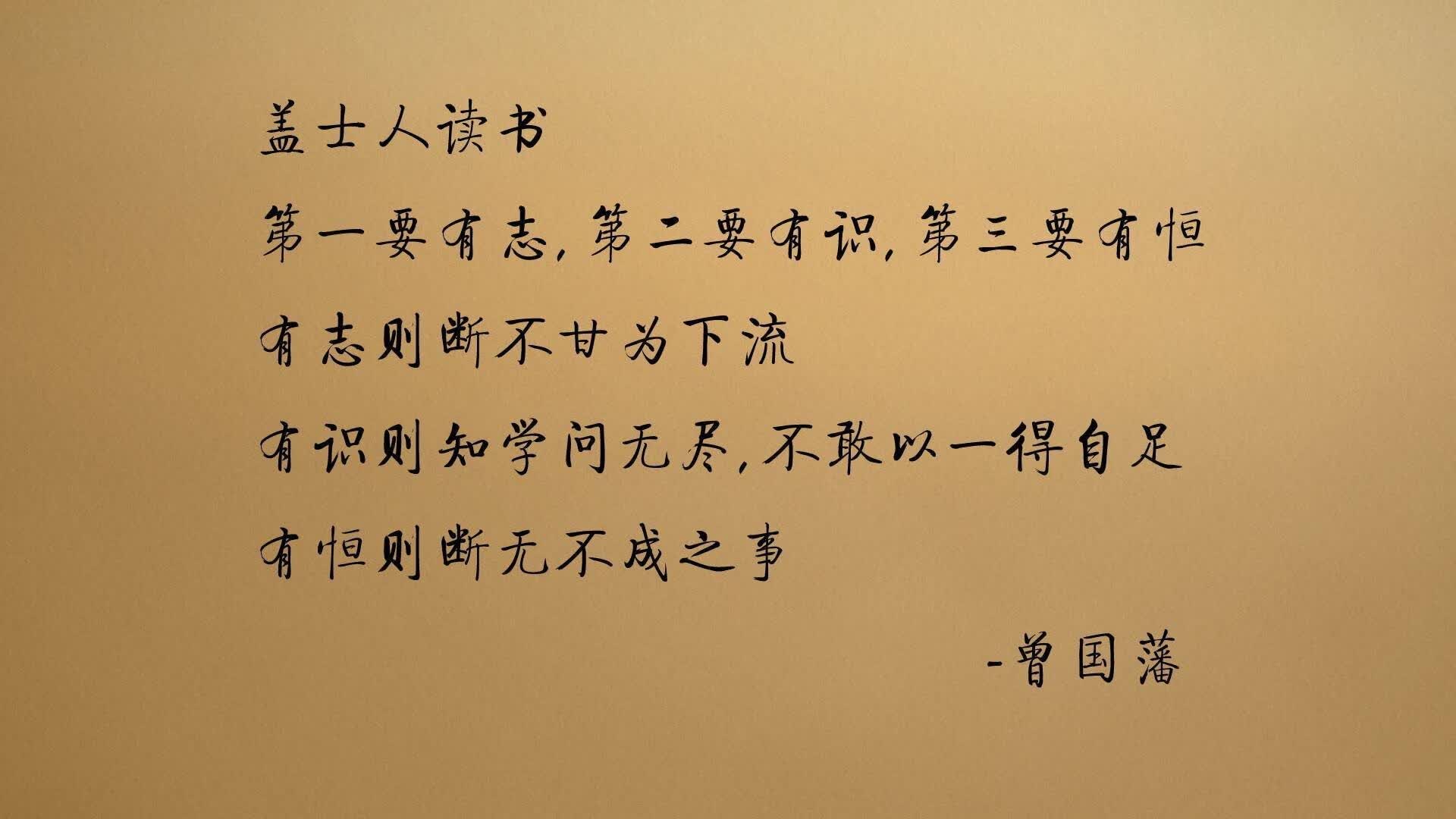 唯一的主宰，2026世界杯B组焦点战，巴雷拉统领伊朗碾压厄瓜多尔，一场毫无悬念的压制